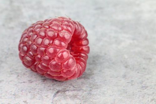 Maliny w ogrodzie — sadzenie, podlewanie i przycinanie